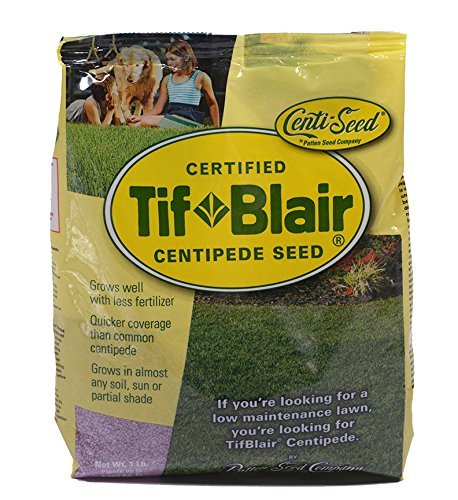 TifBlair Centipede Grass Seed Direct from The Farm